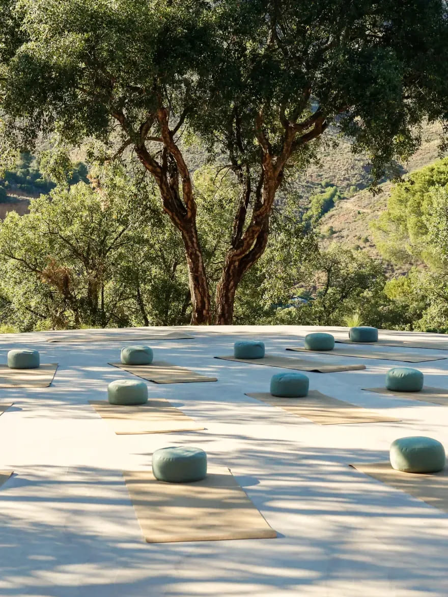 Cushions laid out on a stone terrace beneath a broad olive tree at Viluz.